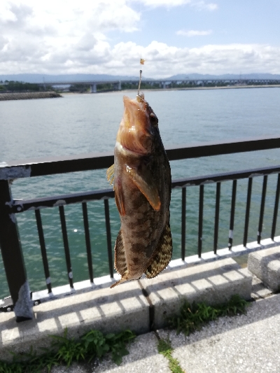 子供と一緒にチョイ投げる