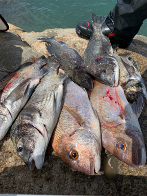 玉野 六郎島 沖磯フカセ