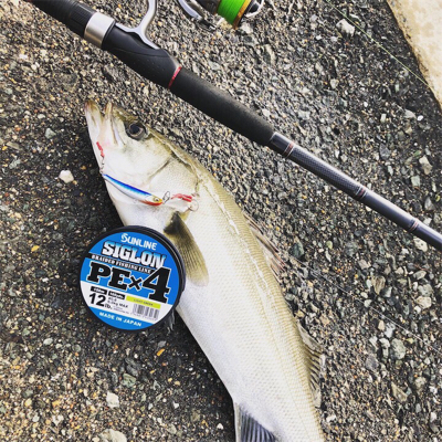 埠頭デイシーバス 極太シーバス