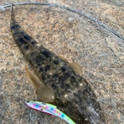 紀の川ウェーディング