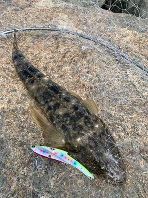 紀の川ウェーディング