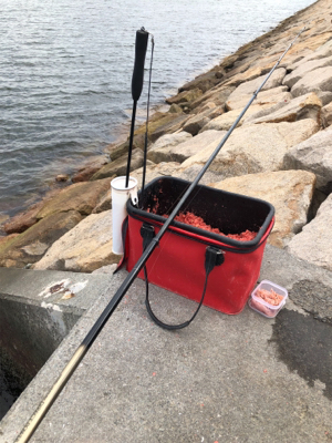 波止で五目釣り