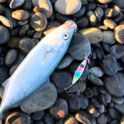 七里御浜ショアジギング