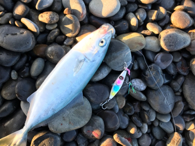 七里御浜ショアジギング