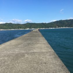 ショアジギのちエサ釣り