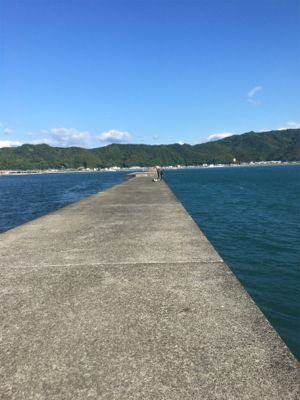 ショアジギのちエサ釣り