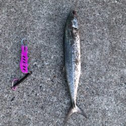 当たりが少なくなった