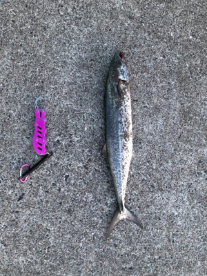 当たりが少なくなった