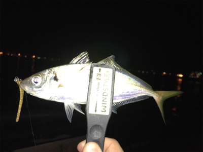 NEWロッドに鱗付け