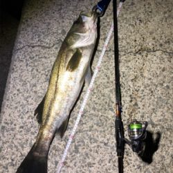 メタルマルハンパないって!