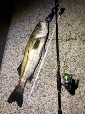 メタルマルハンパないって！