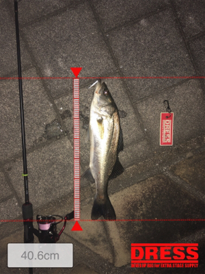 アジングタックルで！！