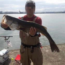 エビ撒きでスズキ！