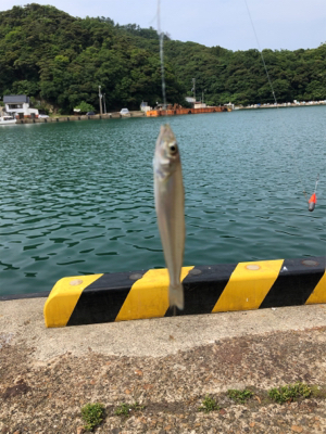 ちょい投げキス