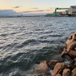 夕方からチニング