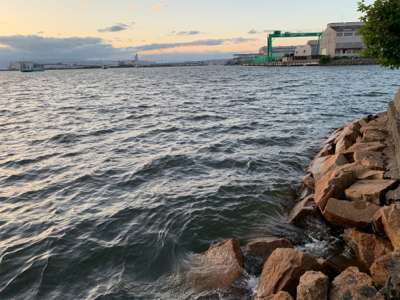 夕方からチニング