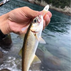 ライトタックルでデイゲーム♪