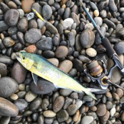 七里御浜ショアジギング