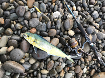 七里御浜ショアジギング