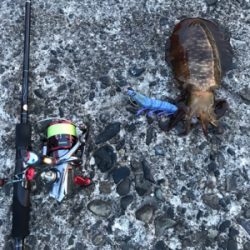 和歌山遠征！！