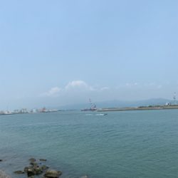 ルアーで何か釣りたくて