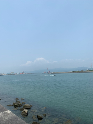 ルアーで何か釣りたくて