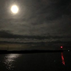 夜釣り
