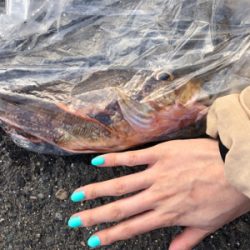 手漕ぎボート 中々楽しい！