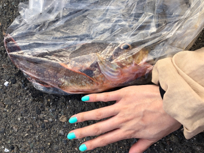 手漕ぎボート 中々楽しい！