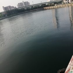 久しぶりに年無し