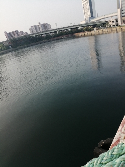 久しぶりに年無し