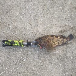 楽しい引きでした。