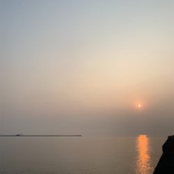 ヒラメ、青物を求めて