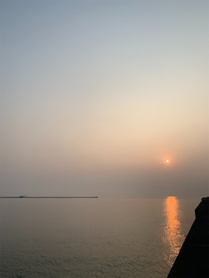 ヒラメ、青物を求めて