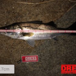 ぼちぼちサイズ