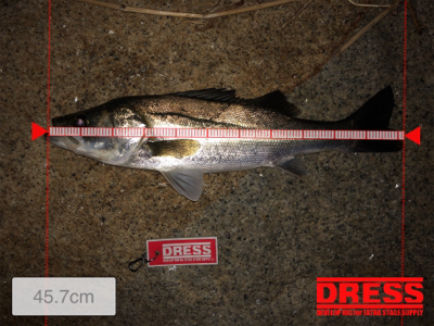 ぼちぼちサイズ