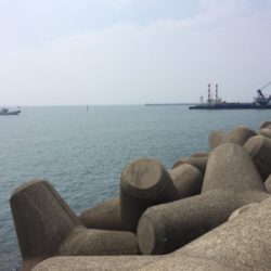 ジグサビキでツバス