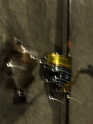 大船渡釣行にて