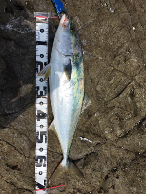 結果良ければ全て良し!?