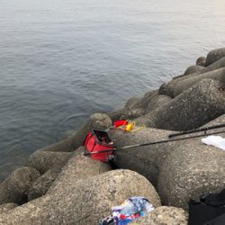 波止グレ調査..