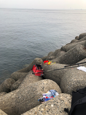 波止グレ調査..