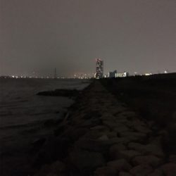 淀川ブリームゲーム 今季初マチヌ