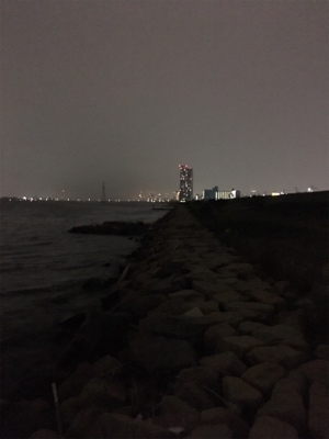 淀川ブリームゲーム 今季初マチヌ