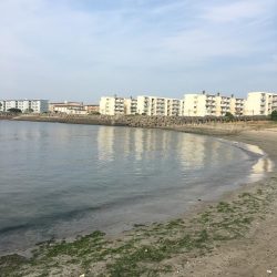 ライトタックルでキス釣り