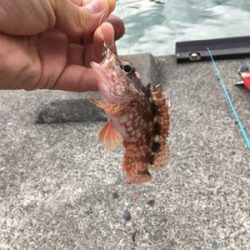 出張ついでで釣り