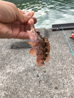 出張ついでで釣り