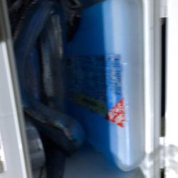 マリーナタチウオ