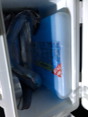 マリーナタチウオ