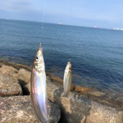 はじめてのキス釣り