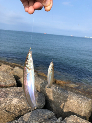 はじめてのキス釣り